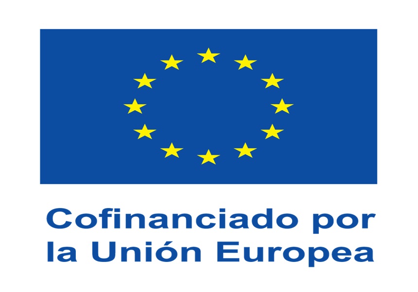 Logo Erasmus Studies